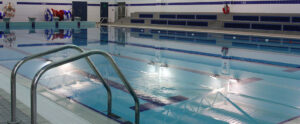 Dulwich Pool