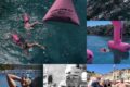 Open Water Swimmers competing